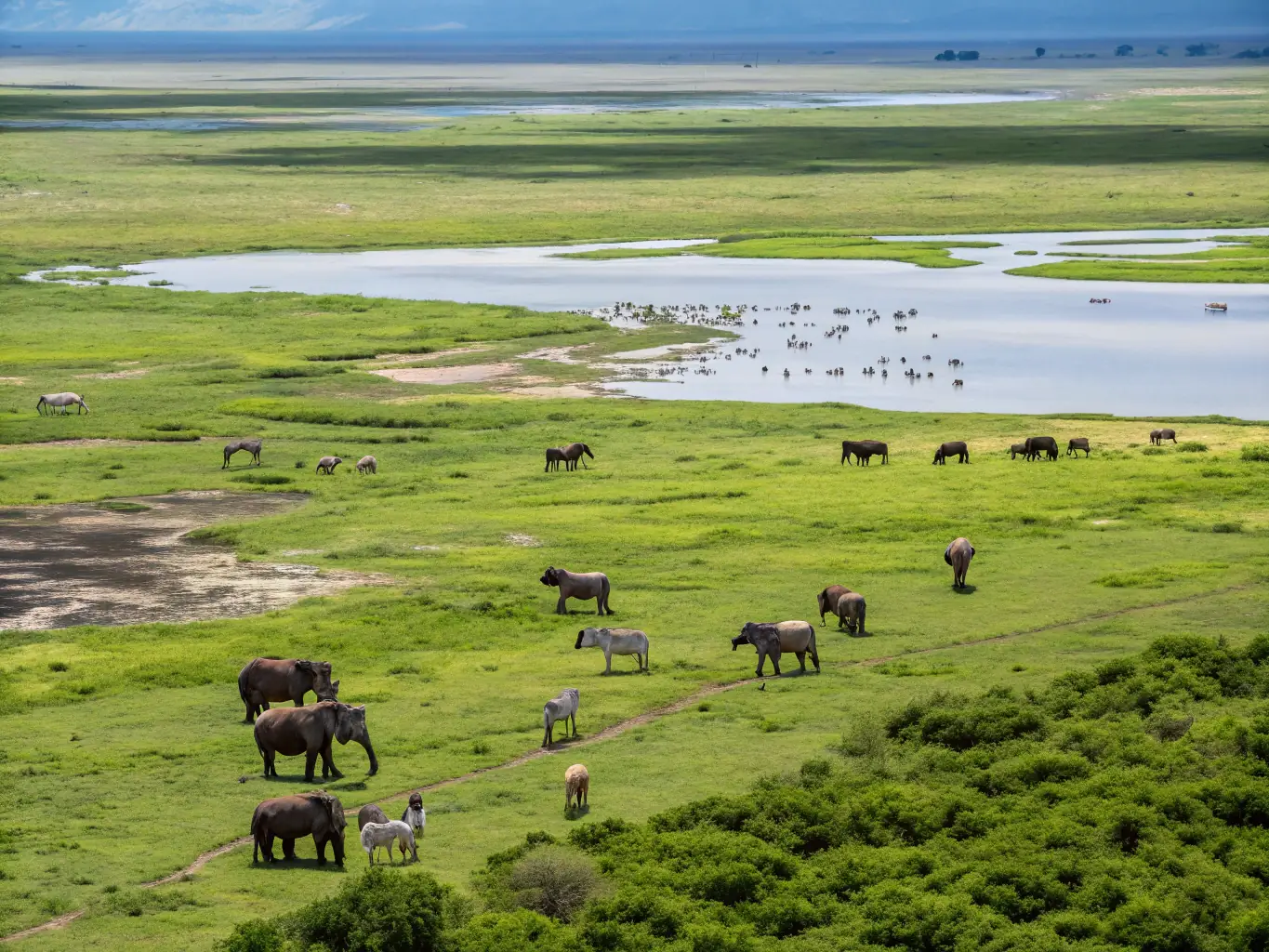A vibrant image of the Ngorongoro Crater, showcasing the diverse ecosystem and abundant wildlife within the caldera.