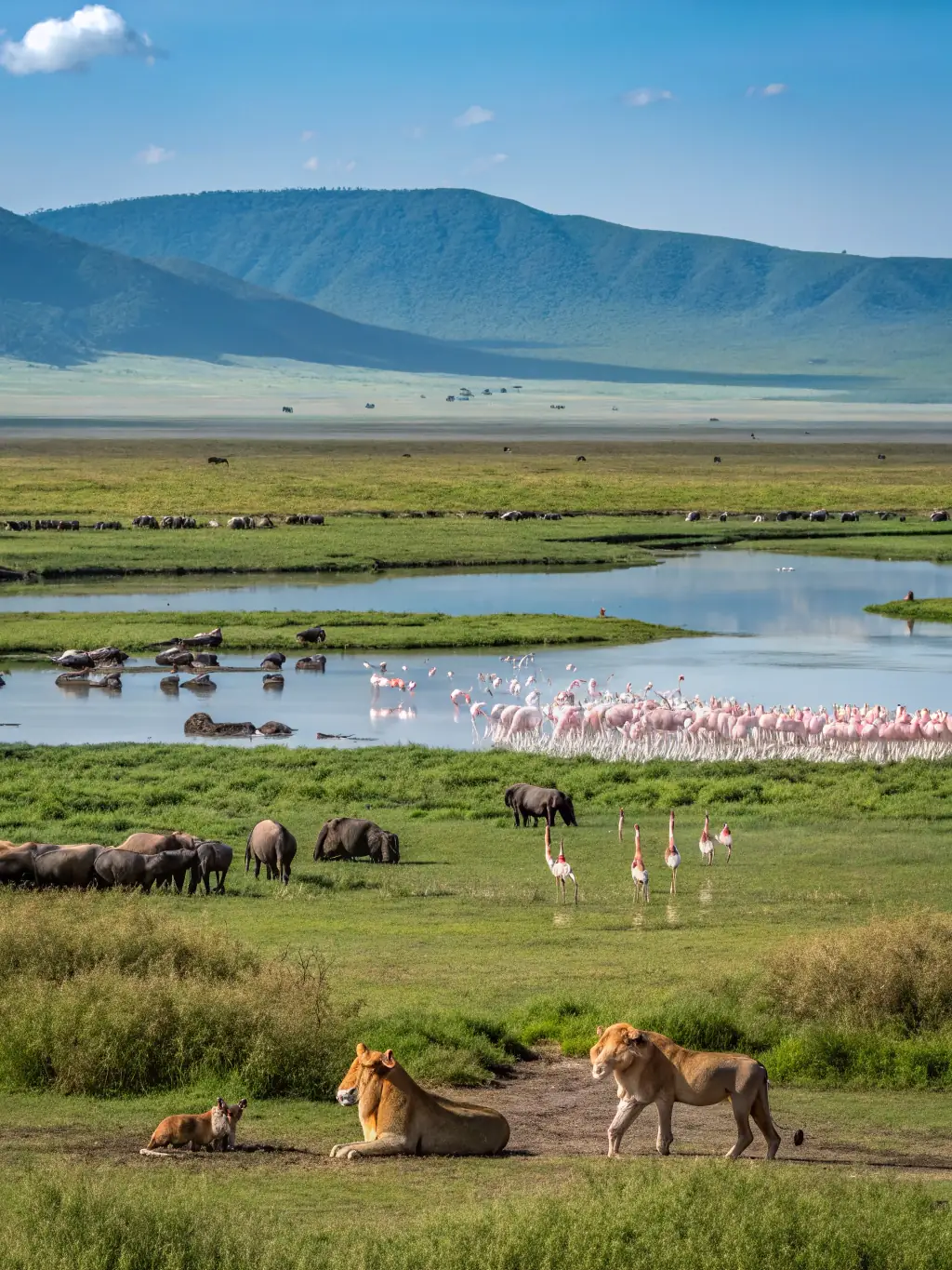 A stunning aerial view of the Ngorongoro Crater, showcasing its diverse ecosystem, including a soda lake, lush forests, and various animal species grazing within the crater.